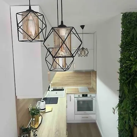 Cosy Life * بانسكو